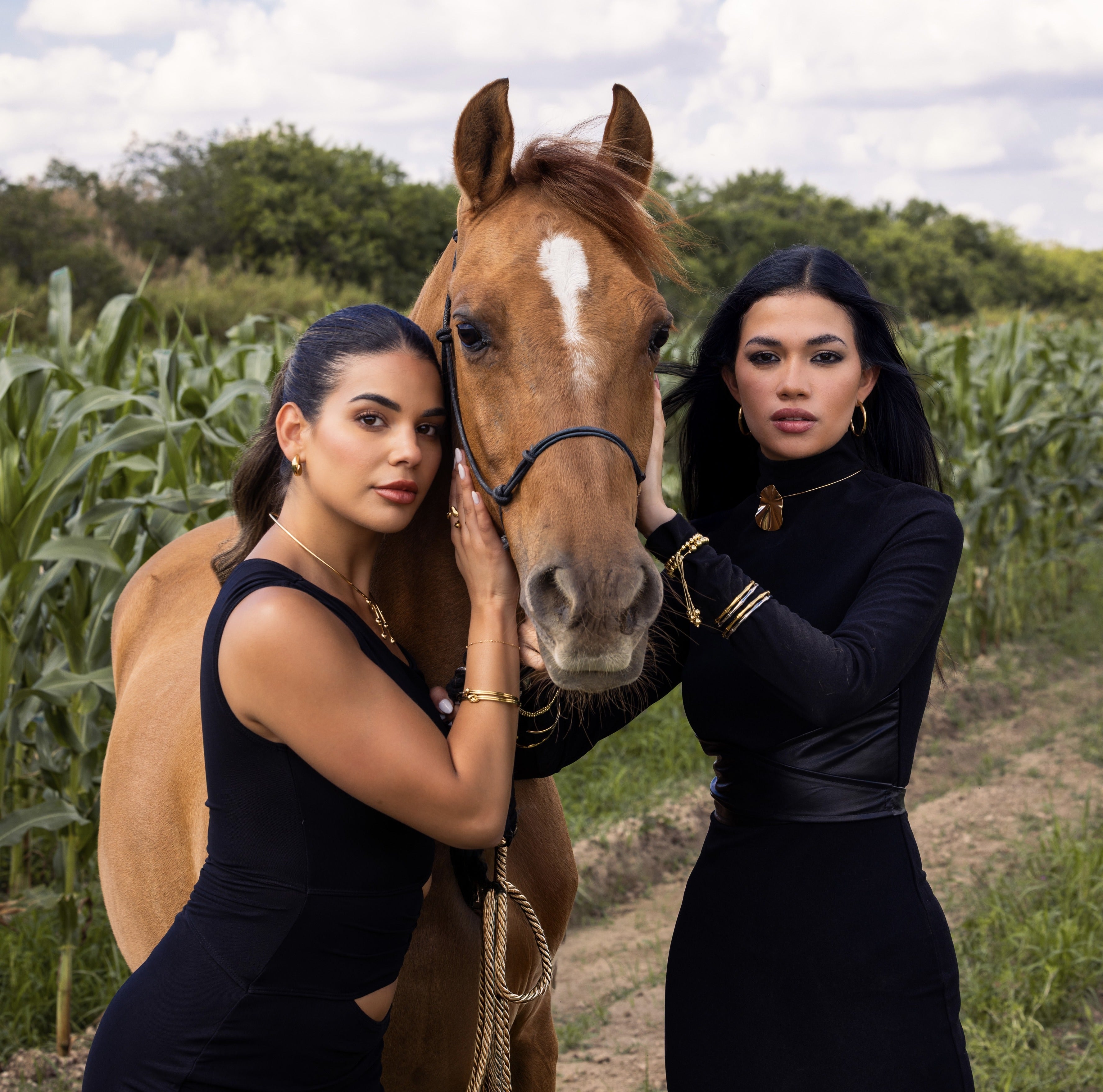 Secret Garden Collection